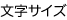 文字サイズ